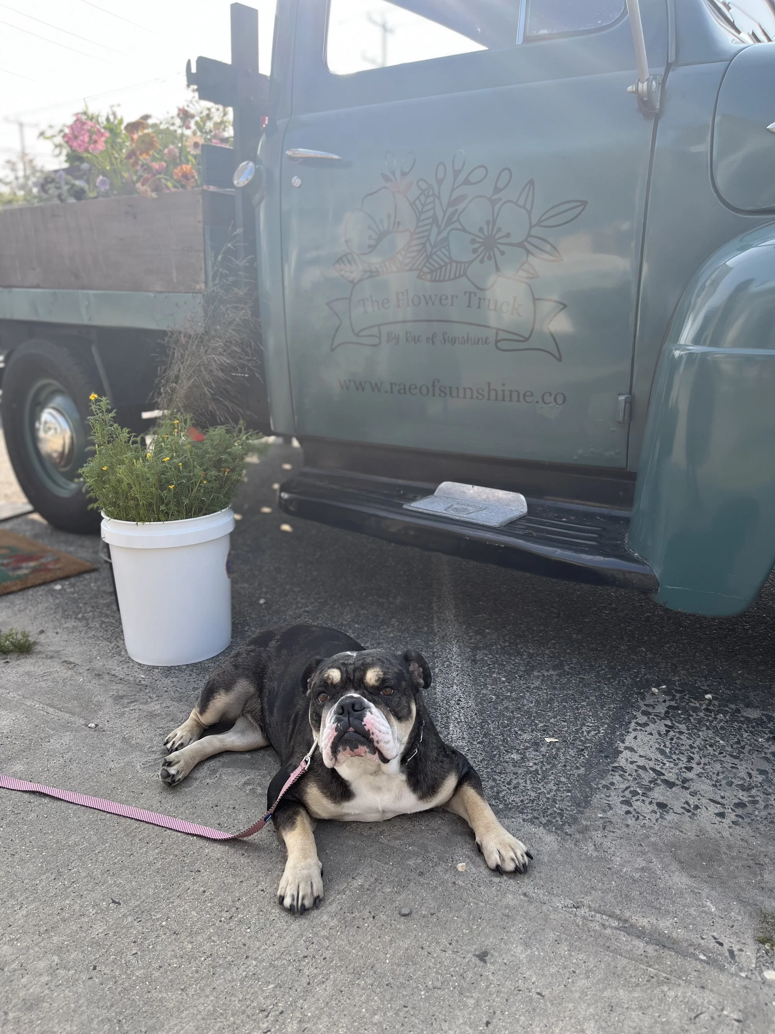 506 Boutique Night Market