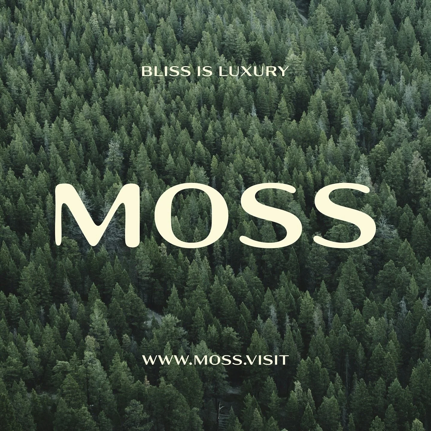 Welcome to Moss 🌲 An exclusive Airbnb getaway for those that love the serenity of the outdoors. A luxury cabin nestled deep in the forest offering you the perfect space to unwind. Bliss is luxury.
#modernbriefmoss 

@format.mockups @modernbrief 

#b