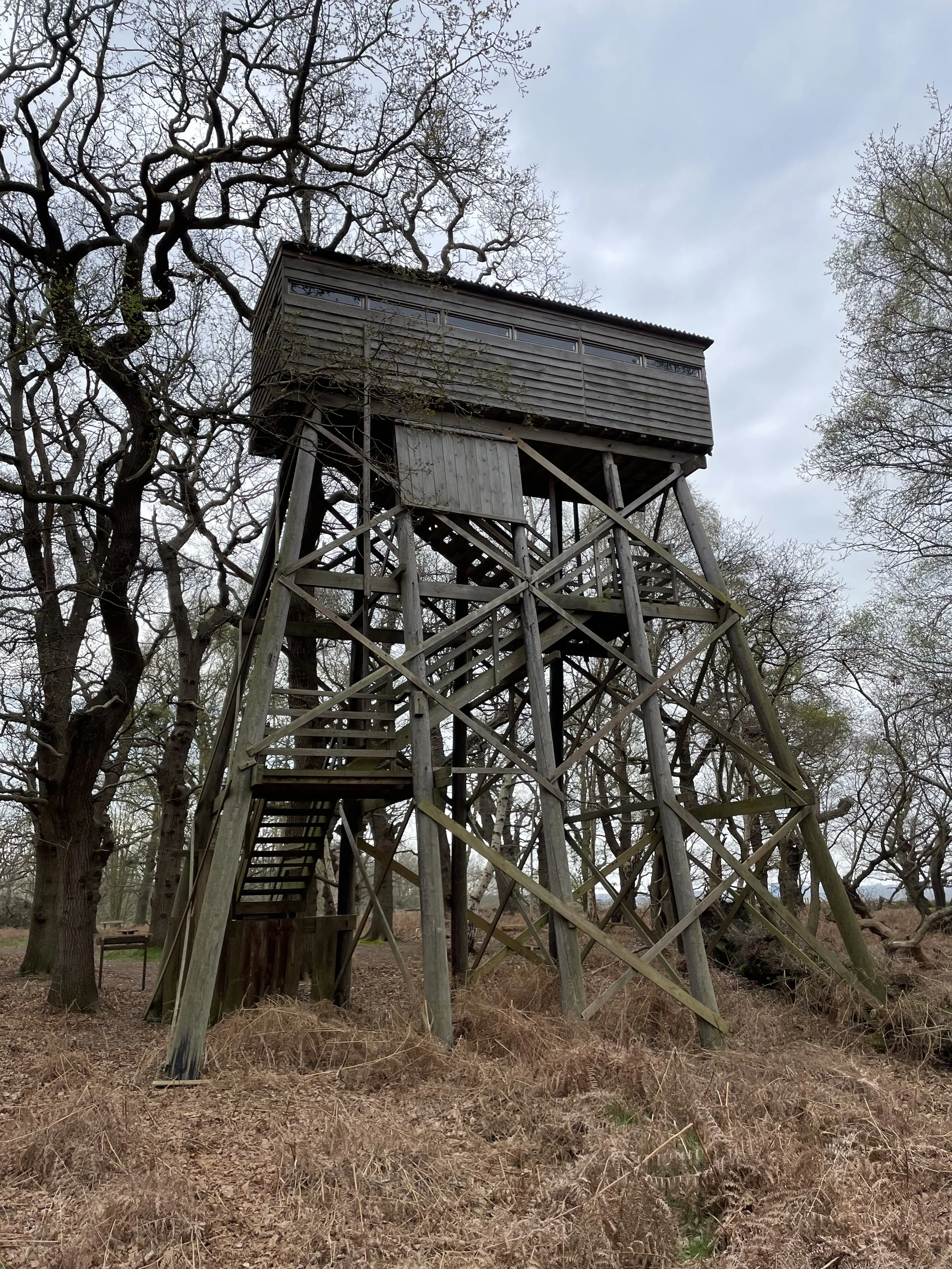 Steria survey 01.JPG