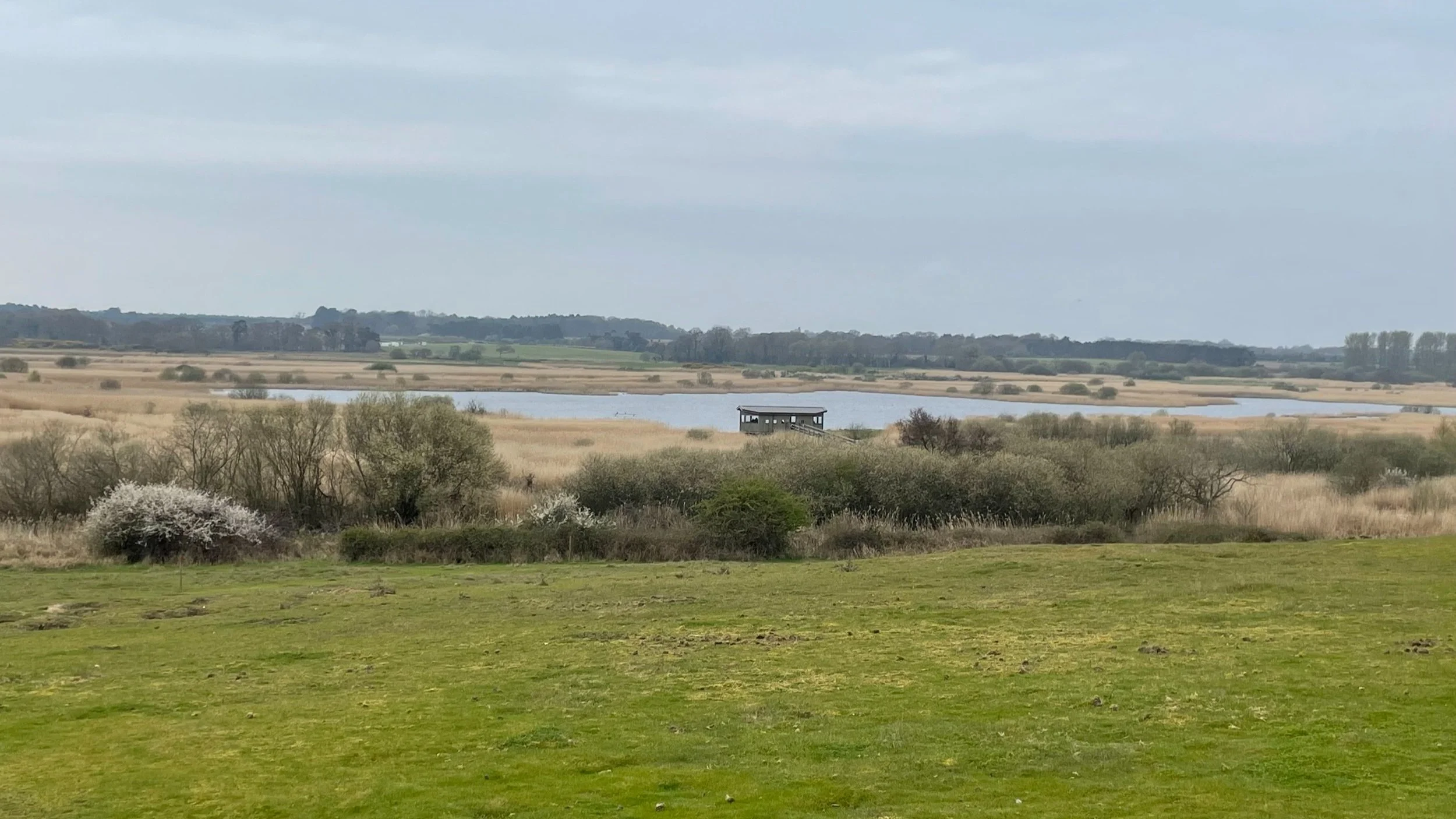 Steria Survey 06.jpg