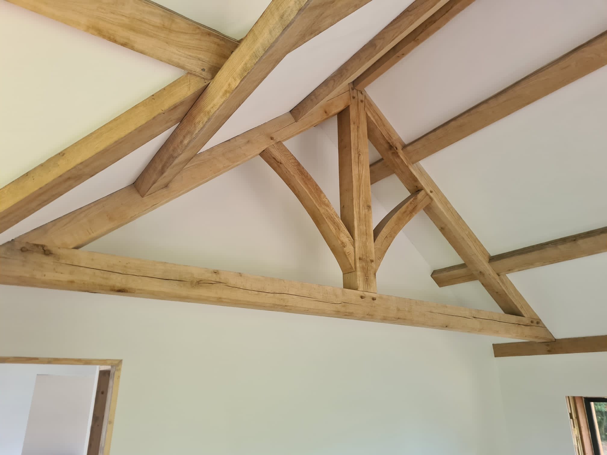 timber steria 05.JPG