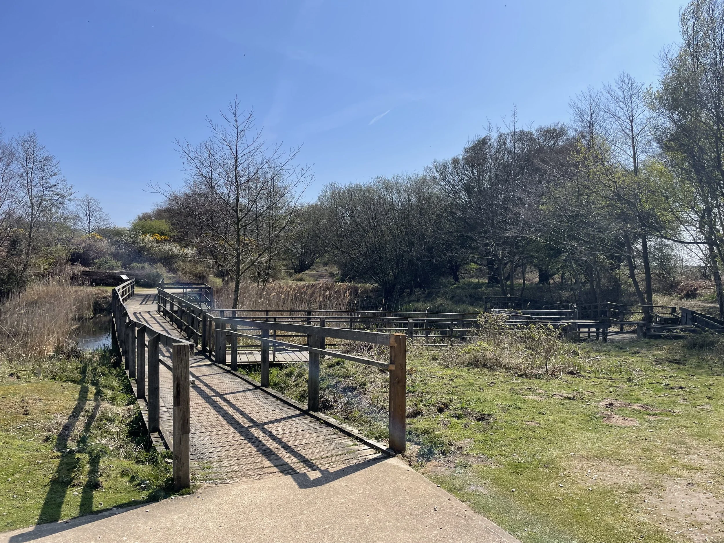 Steria Survey 02.JPG