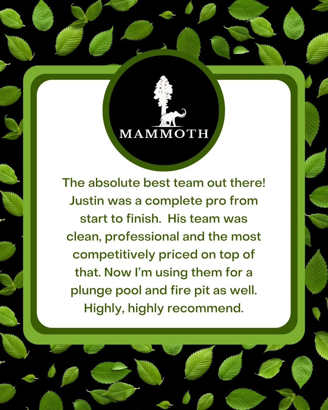 Thank you for the great review, Scott!  We are so grateful for your trust in our team.