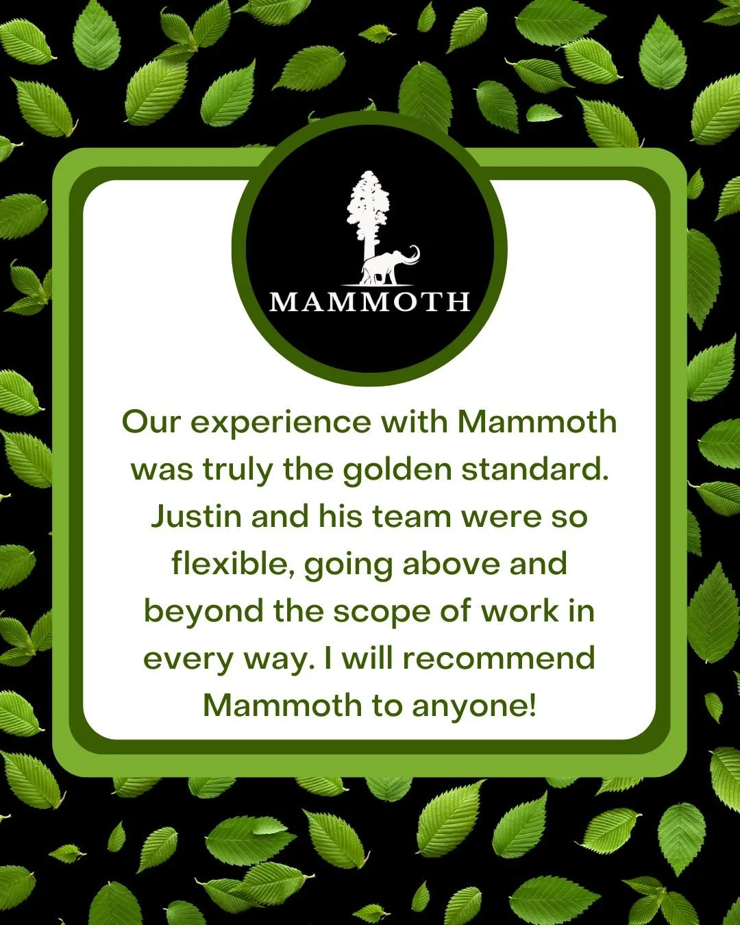 Thanks Meaghan for the amazing review!