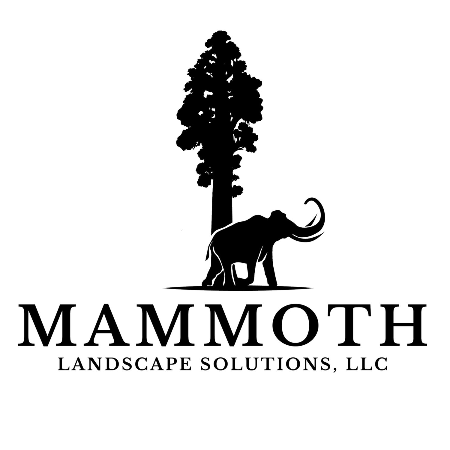 Mammoth Landscape Solutions, LLC