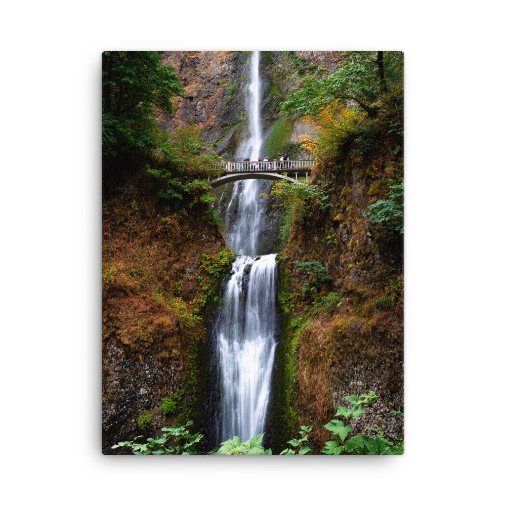 canvas-(in)-18x24-wall-61689b639f76c.jpg