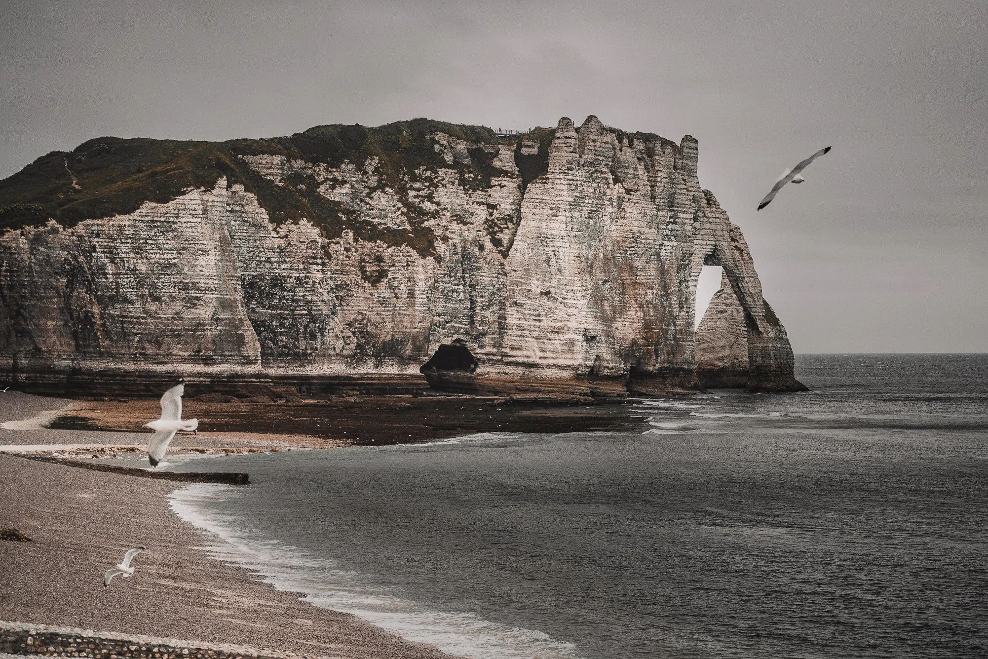 DSC02970 copy-2 copy 11.jpg