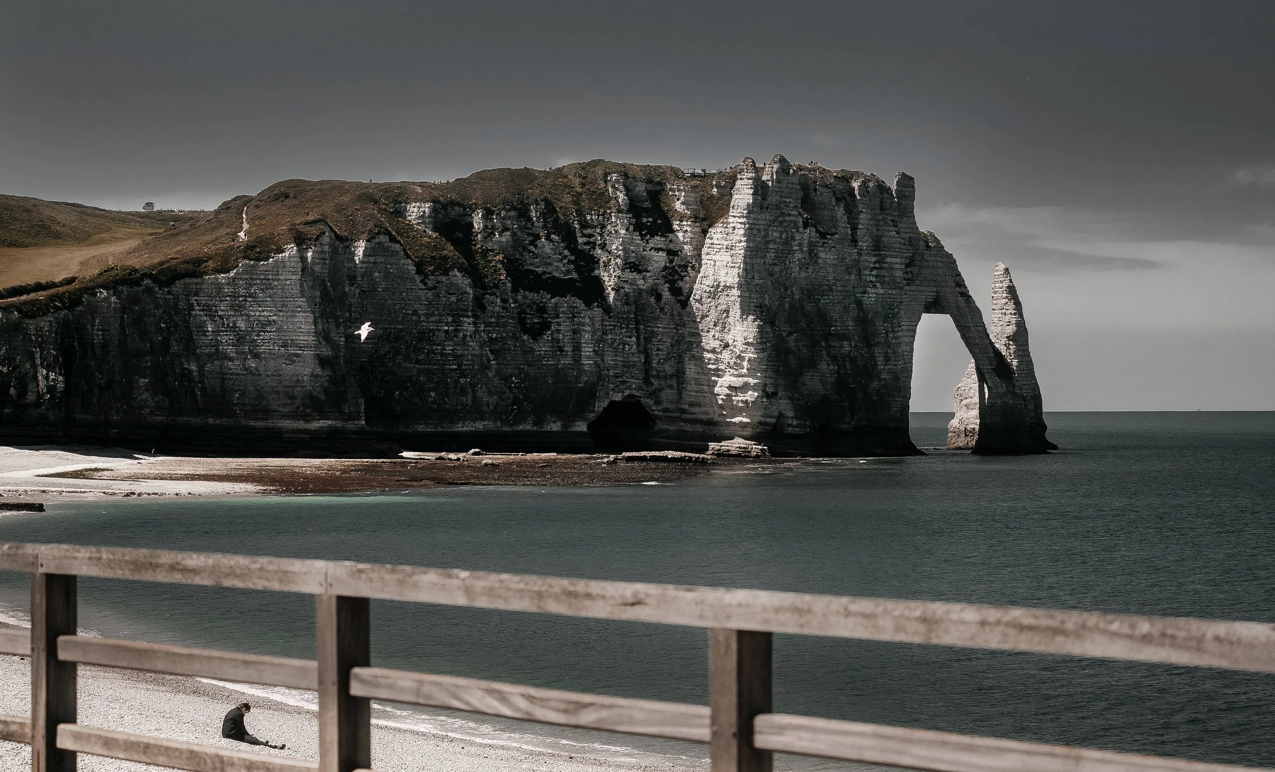 DSC01354-2 copy 1.jpg