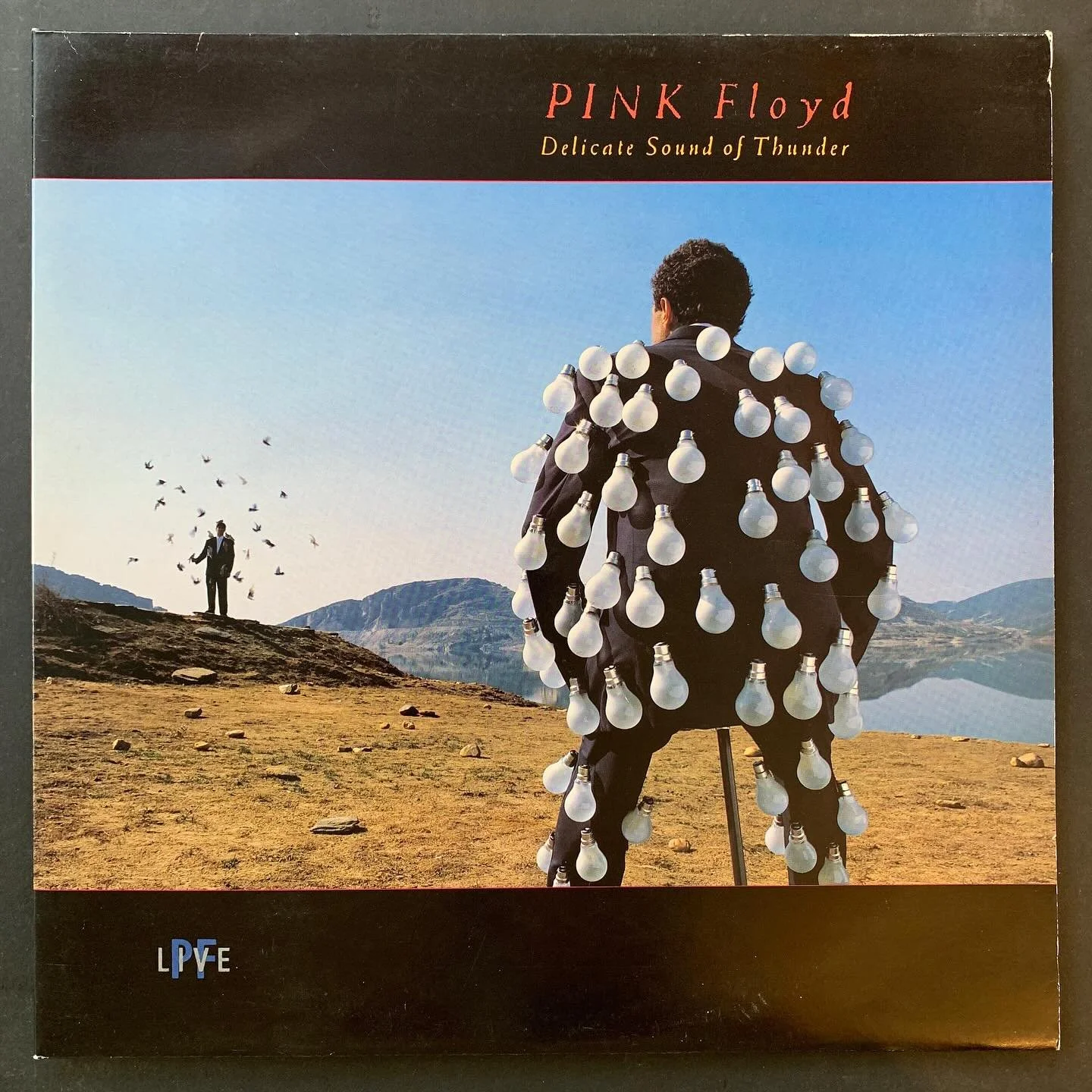 #pinkfloyd #classicrock #vinylrecords #vinylrecordcollection #vinylrecordcollector