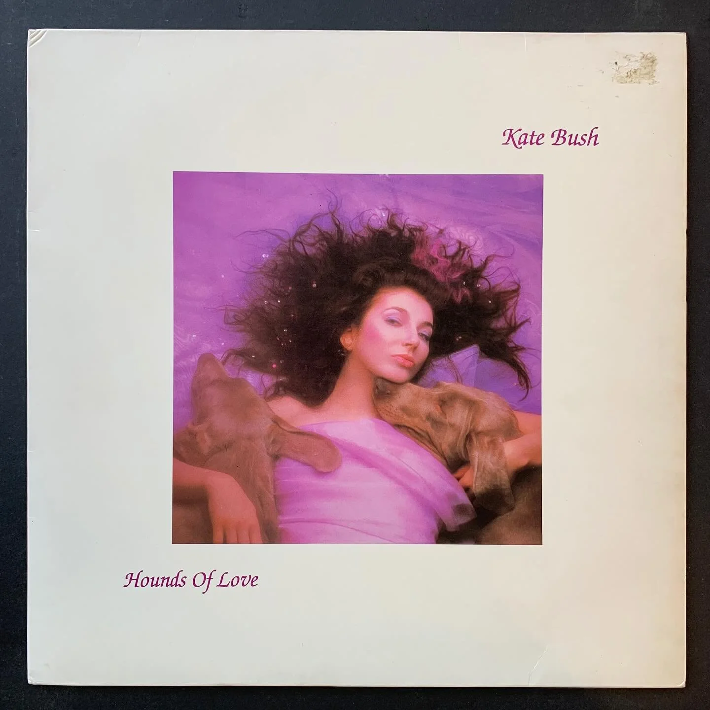 #katebush #powerpop #vinylrecords #vinylrecordcollection #vinylrecordcollector
