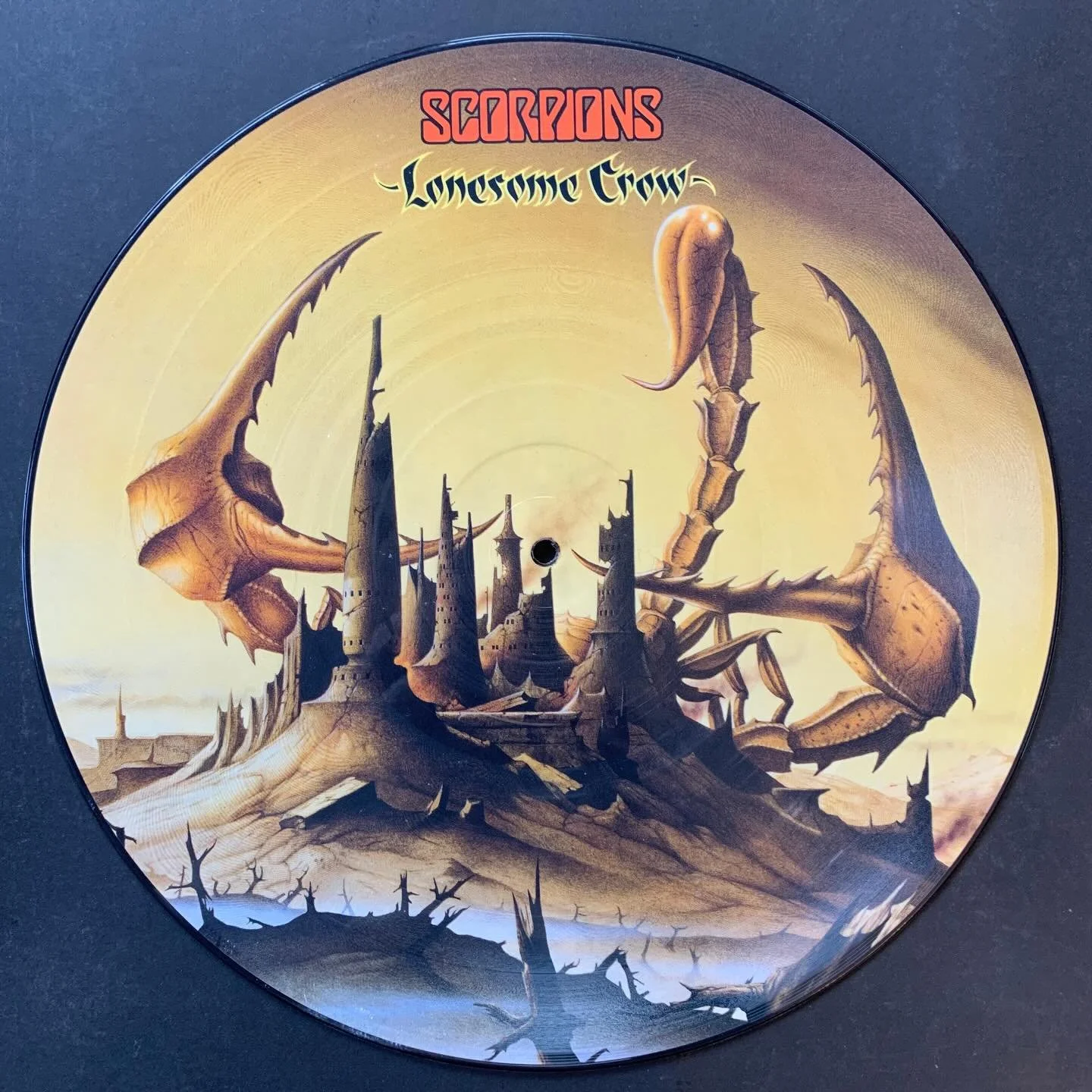 #scorpions #classicrock #vinylrecords #vinylrecordcollection #vinylrecordcollector