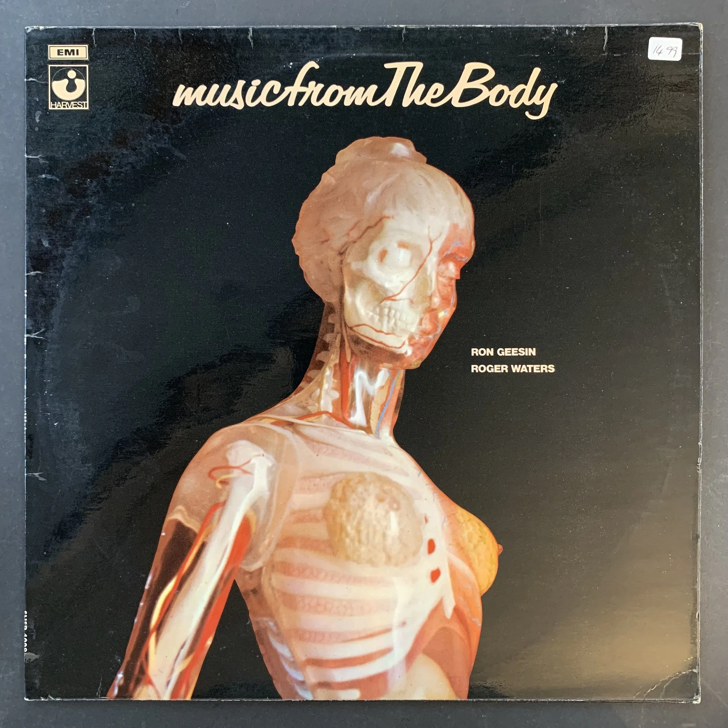 Music from the Body