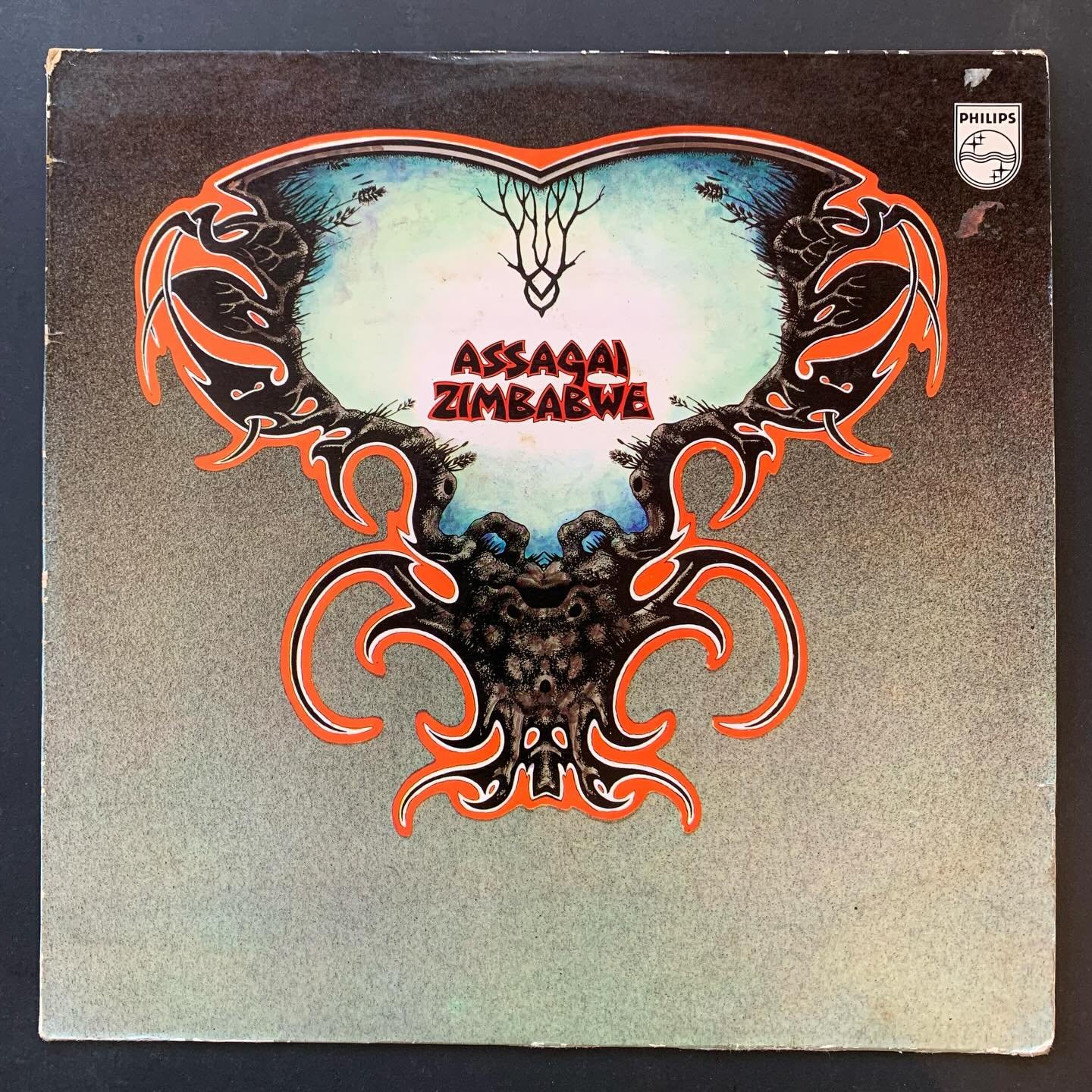 #assagai #psychedelicfolk #vinylrecords #vinylrecordcollector #vinylrecordcollection