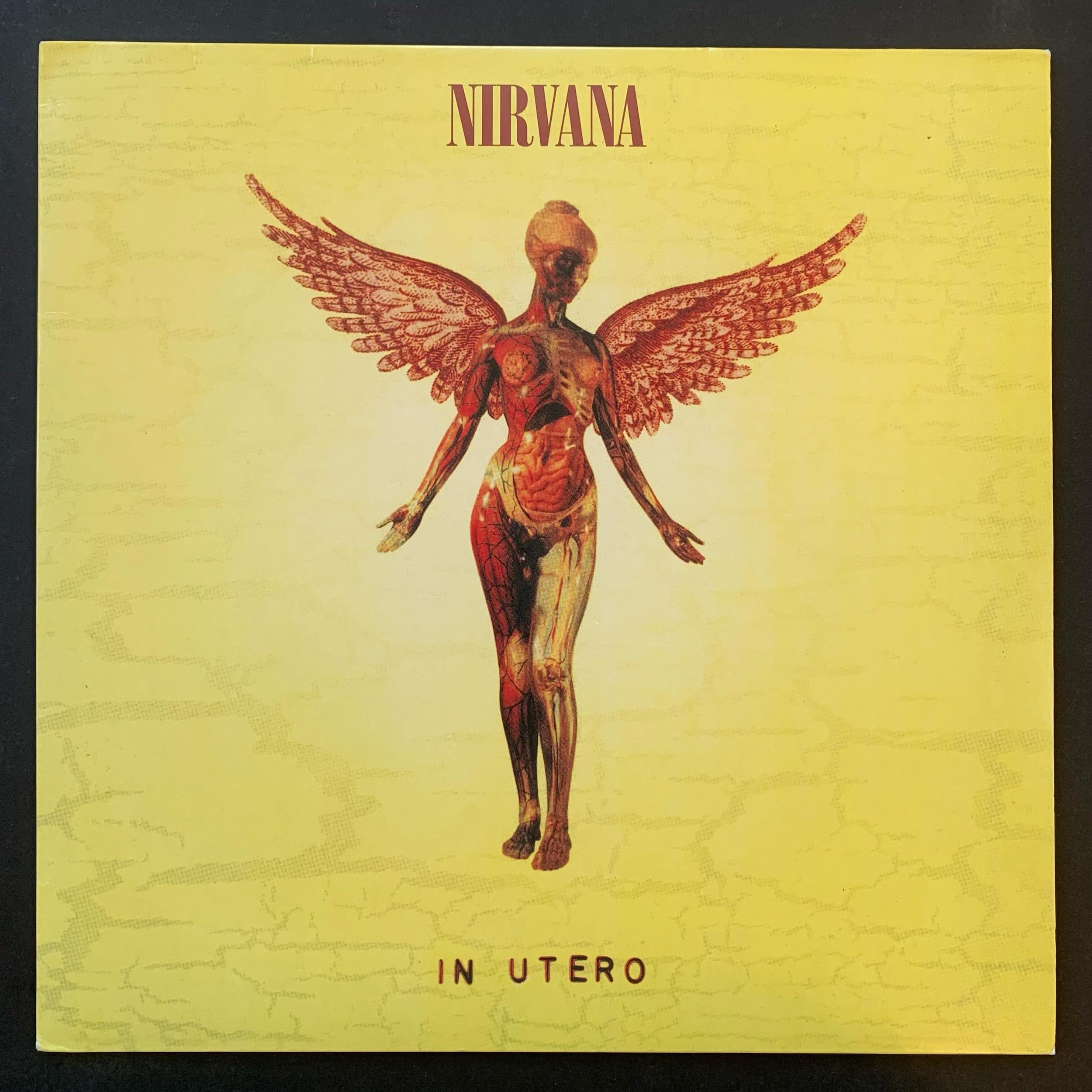 #nirvana #heavyrock #vinylrecords #vinylrecordcollection #vinylrecordcollector