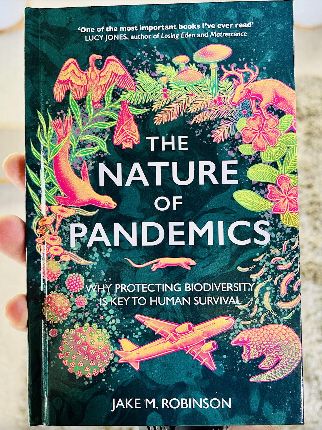 The Nature of Pandemics
