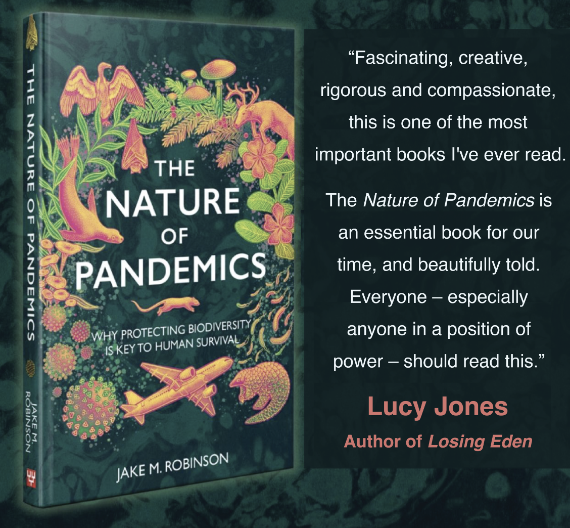 The Nature of Pandemics
