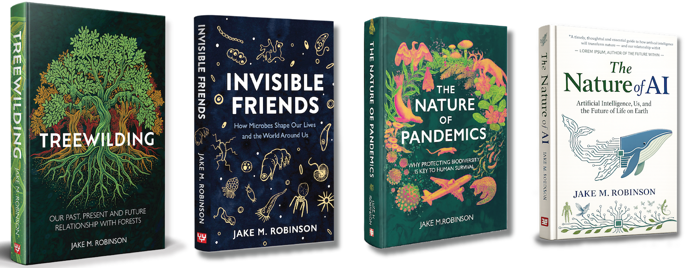Invisible Friends by Jake M. Robinson