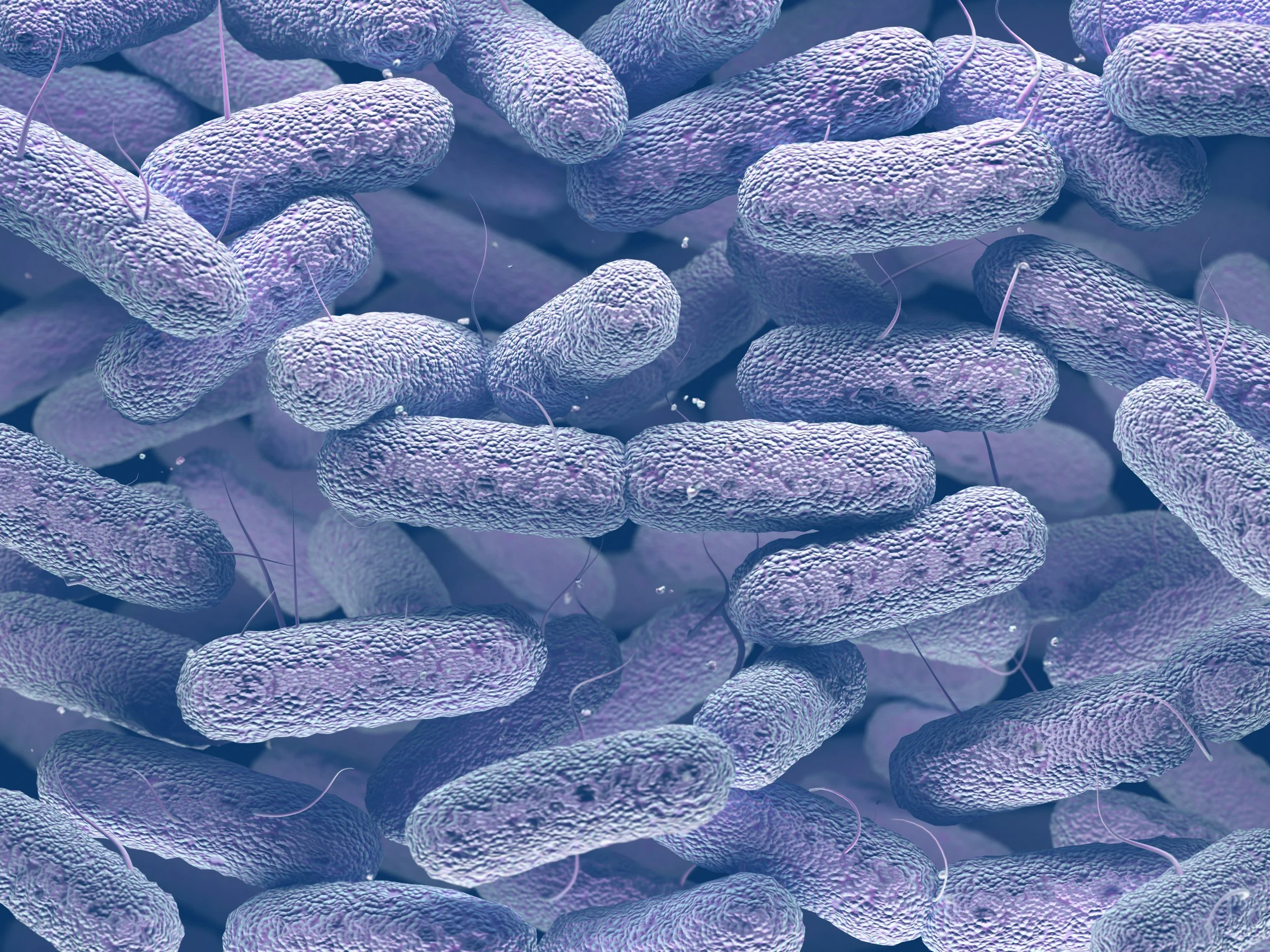 Gut microbes