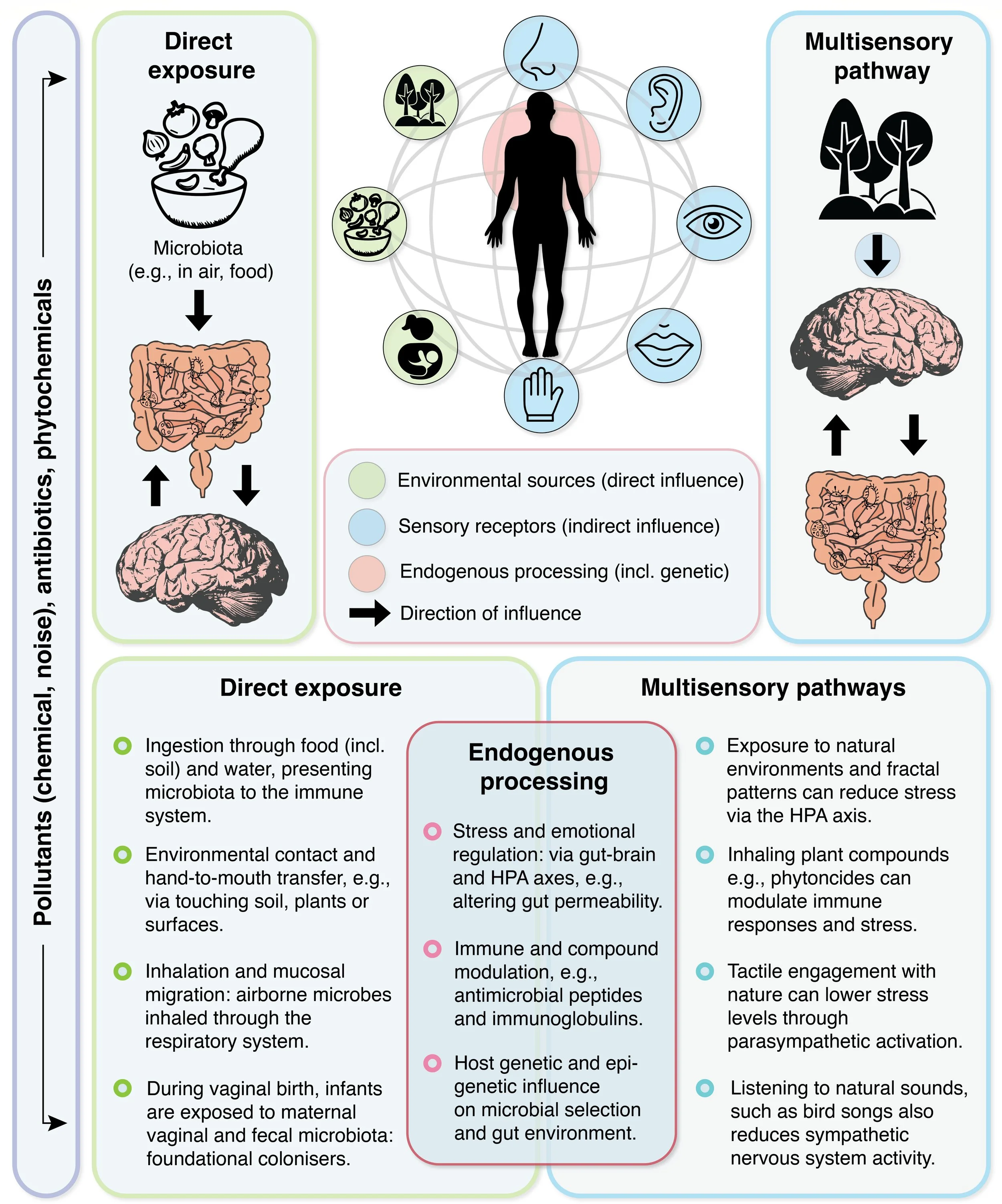 figure from a study in mSystems on 'Beyond Microbial Colonisation'