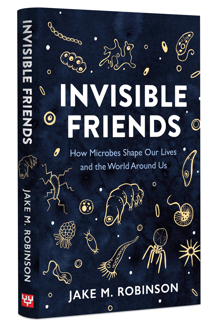 Invisible Friends HB - 3D cover.png