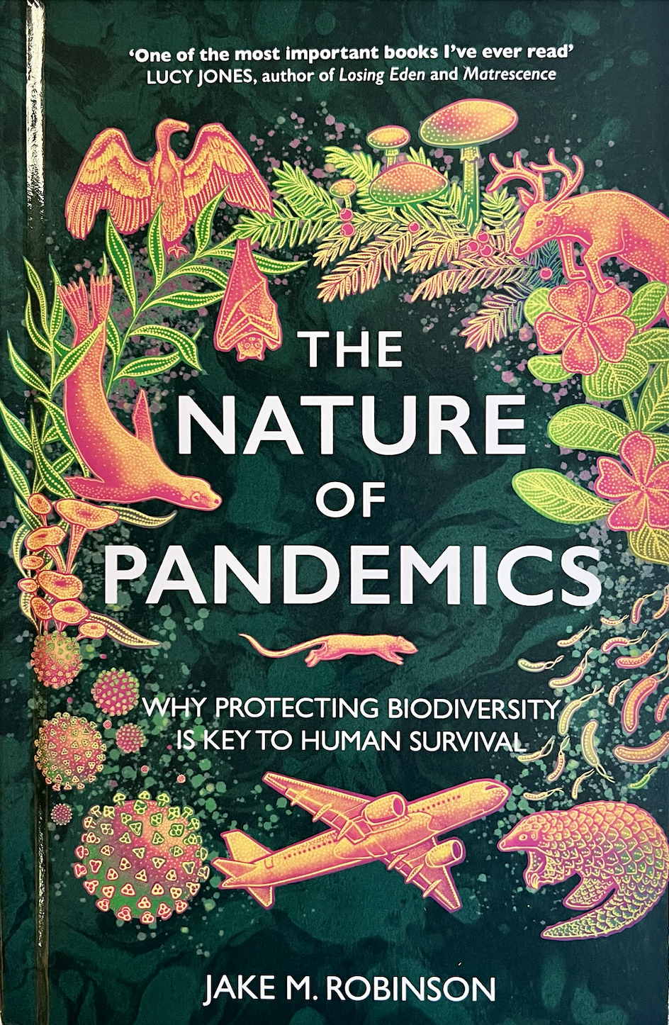 Screenshot 2025-12-11 at 4.13.37 PM.png