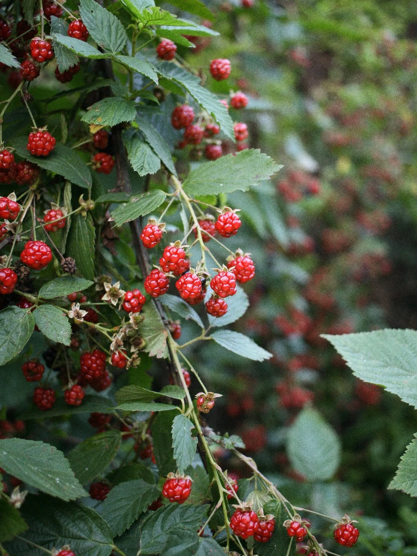 everything i love makes me who i am