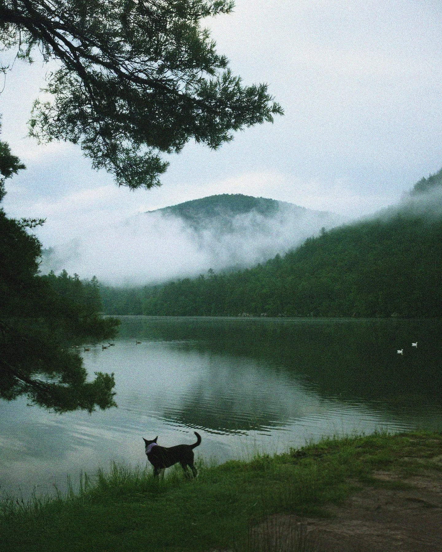 Life is but a dream
It&rsquo;s what you make it