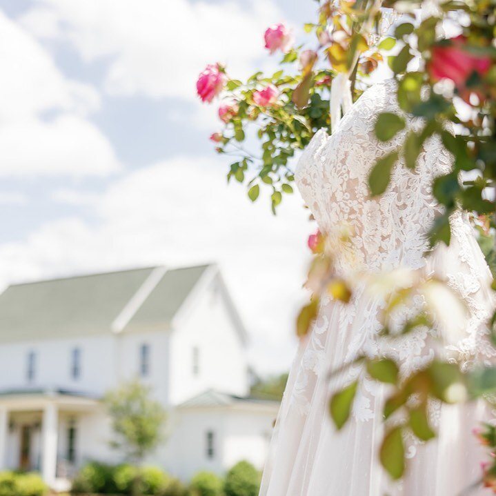 The flowers are in full BLOOM at Circle M Farm! 🌷 Schedule a tour to see our beautiful property by clicking the link in bio. 

Photography: @kathybeaverphotography 
Planning: @joelleparksevents 

#circlemfarmevents #farmwedding #ncfarmwedding #farmh