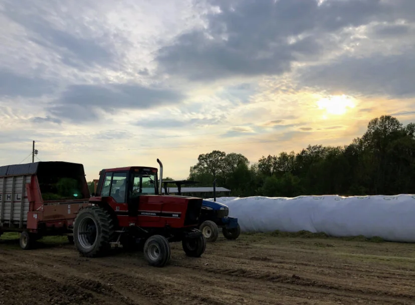 Cherry Farms High Quality Beef Beef Quality Assurance Certified