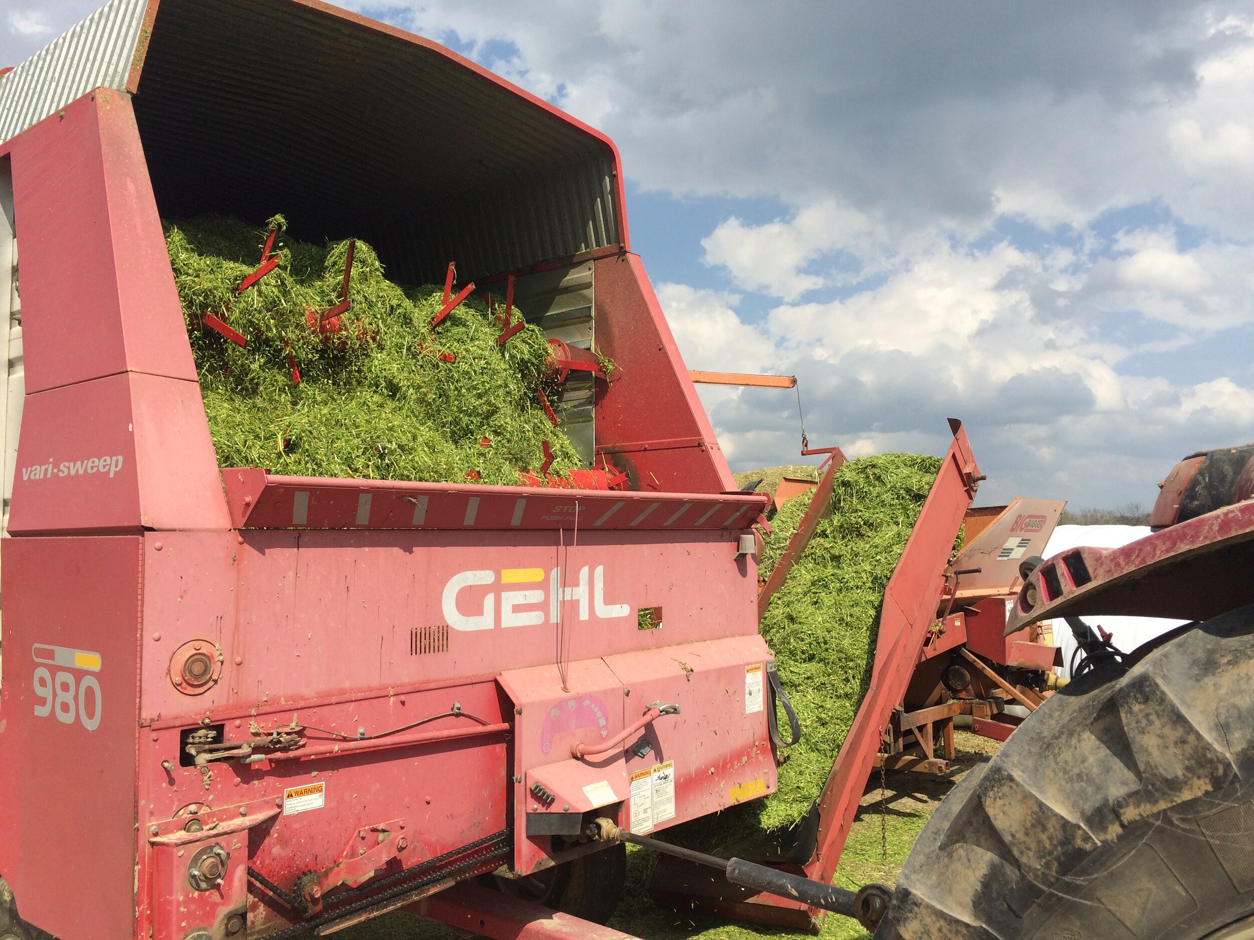 About — Cherry Farms
