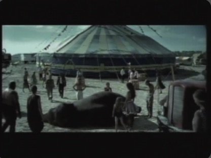 Elephant Rev
