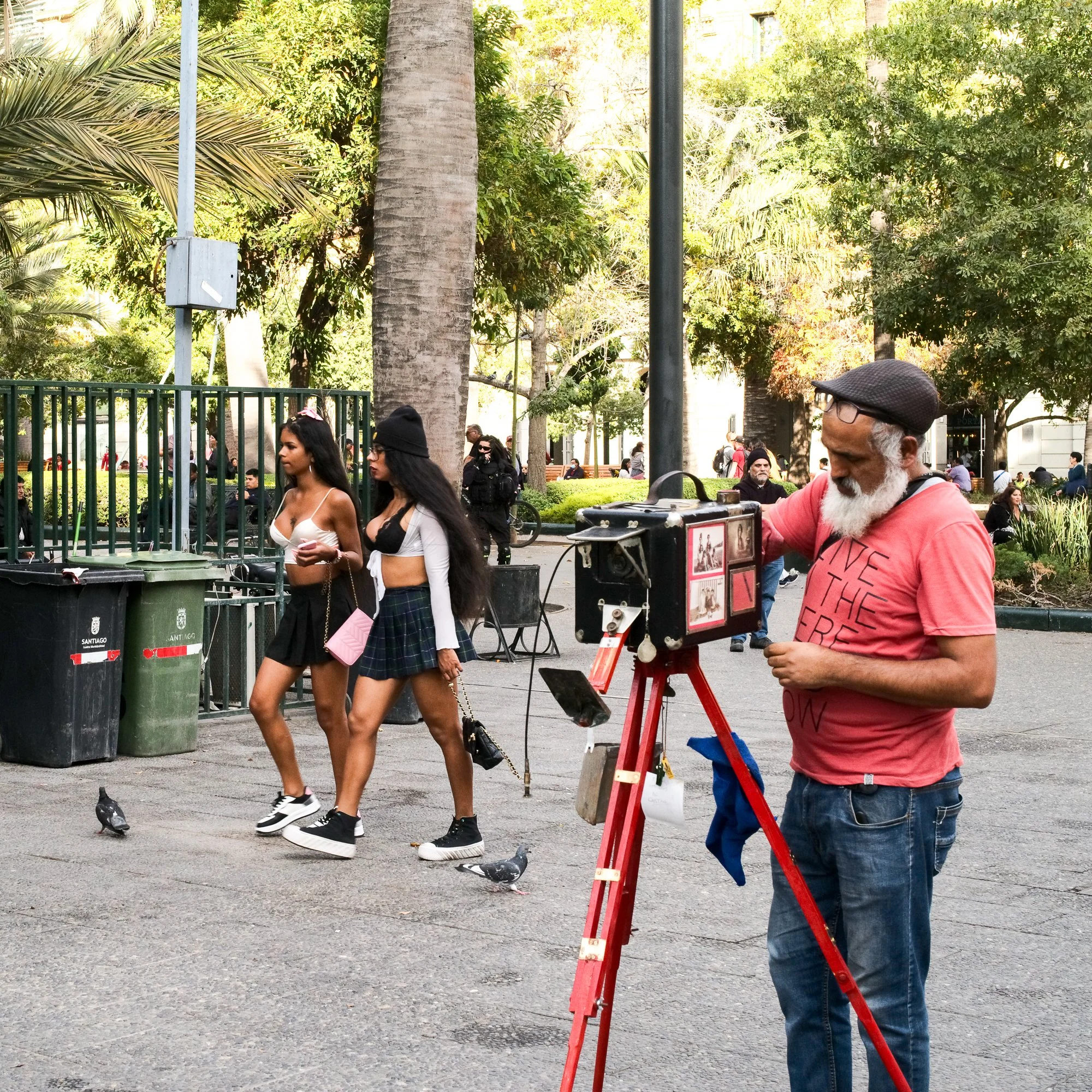 snappers-08.jpg