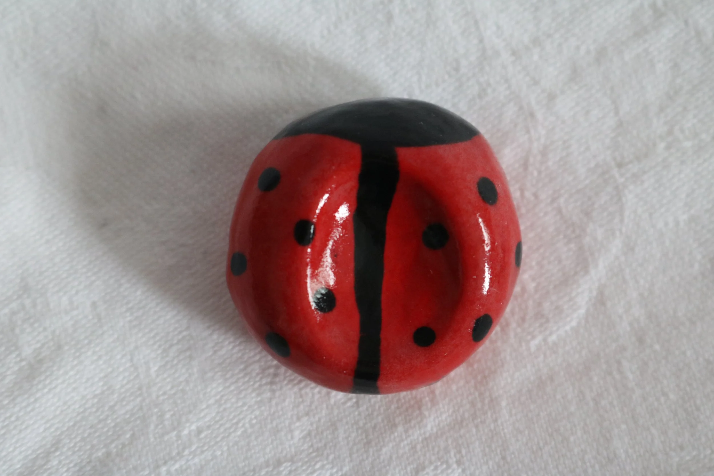 Ladybird Pocket Pet