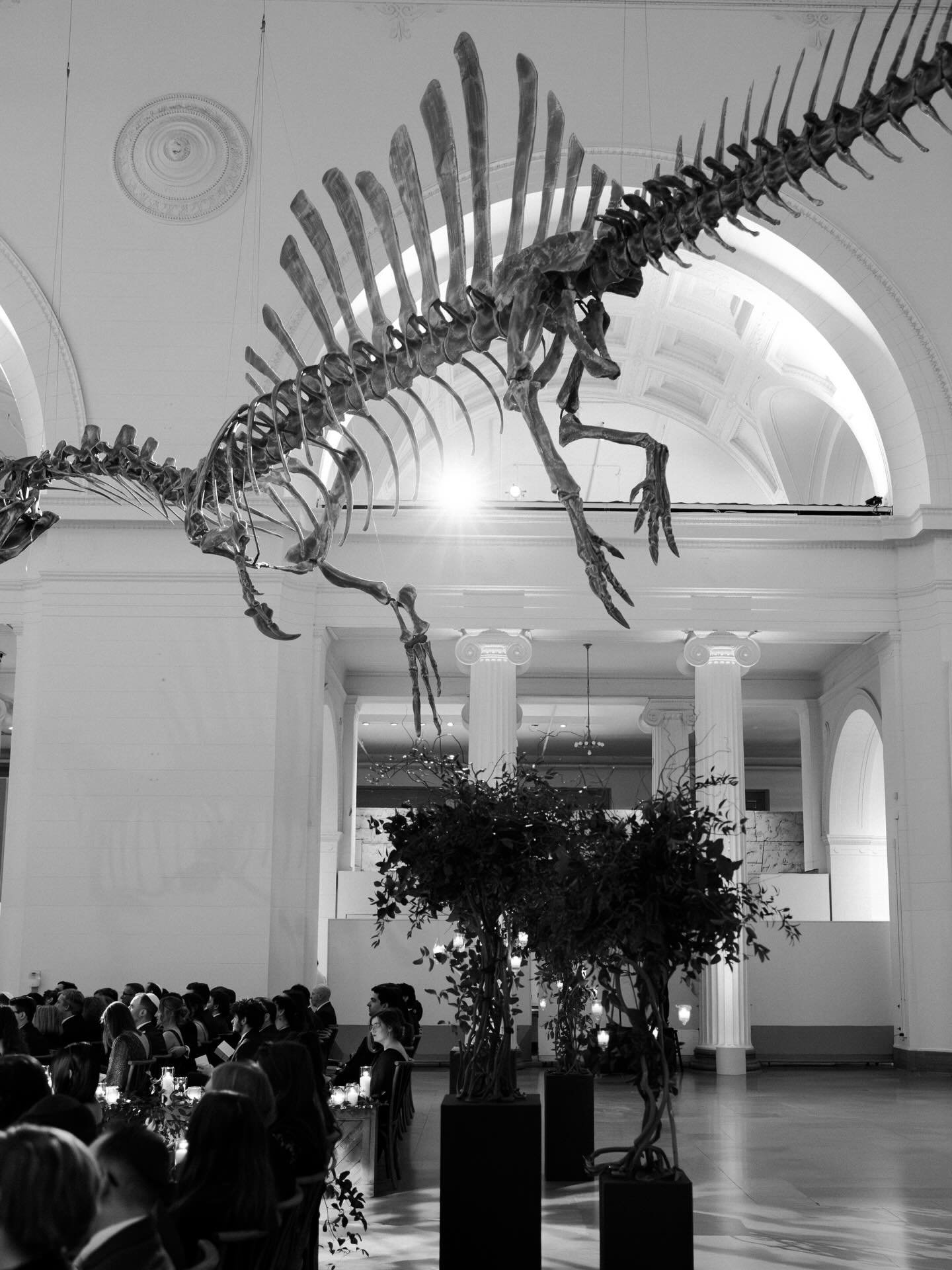 One of my dream venues! Thank you for having me @madiellisphoto