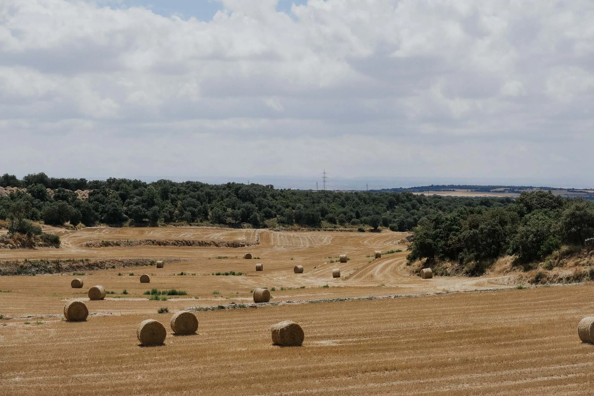 DSCF4655.jpg