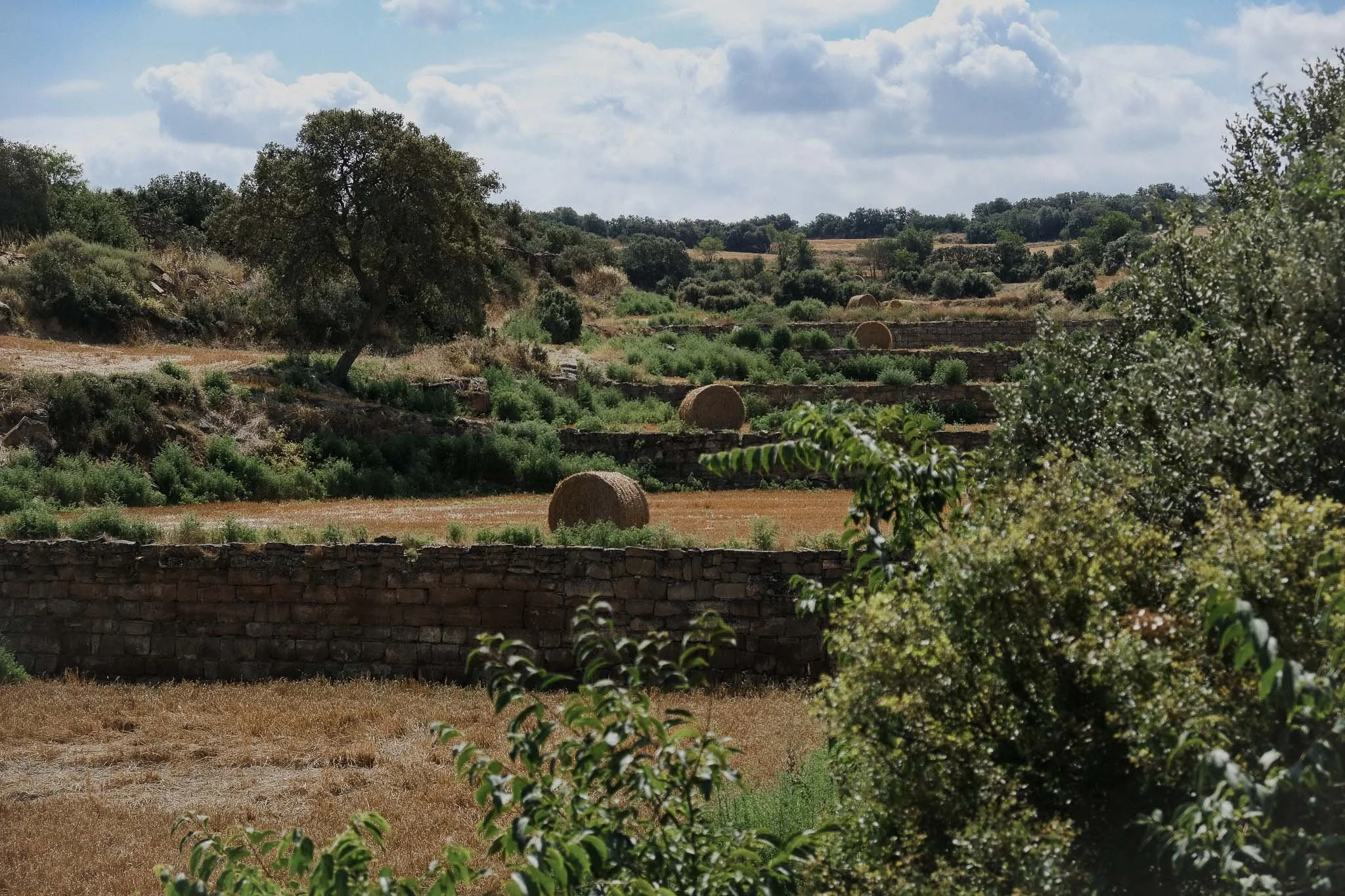 DSCF4430.jpg