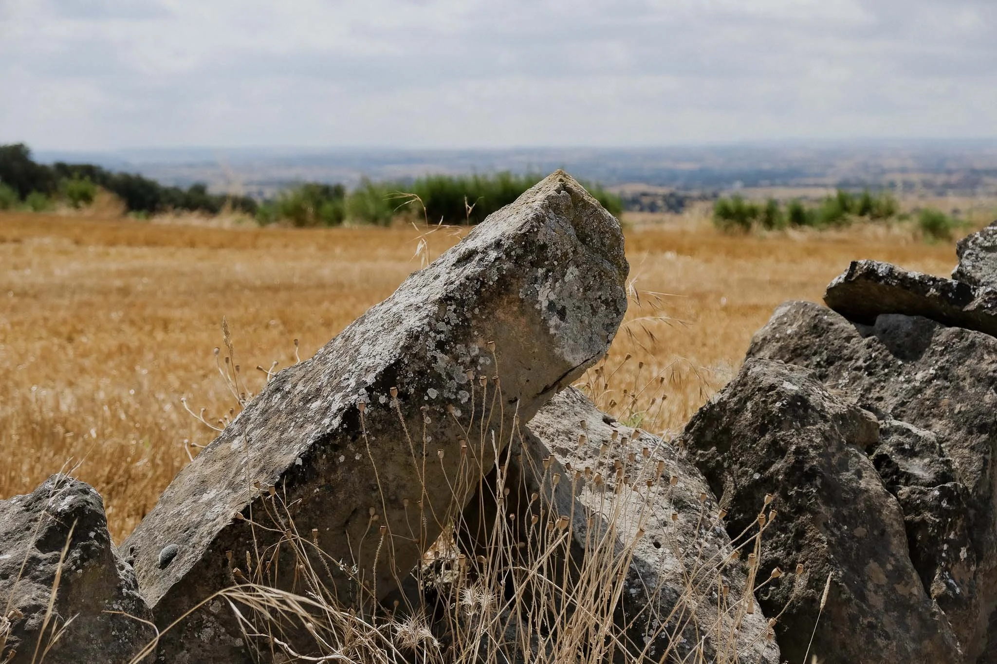 DSCF4473.jpg