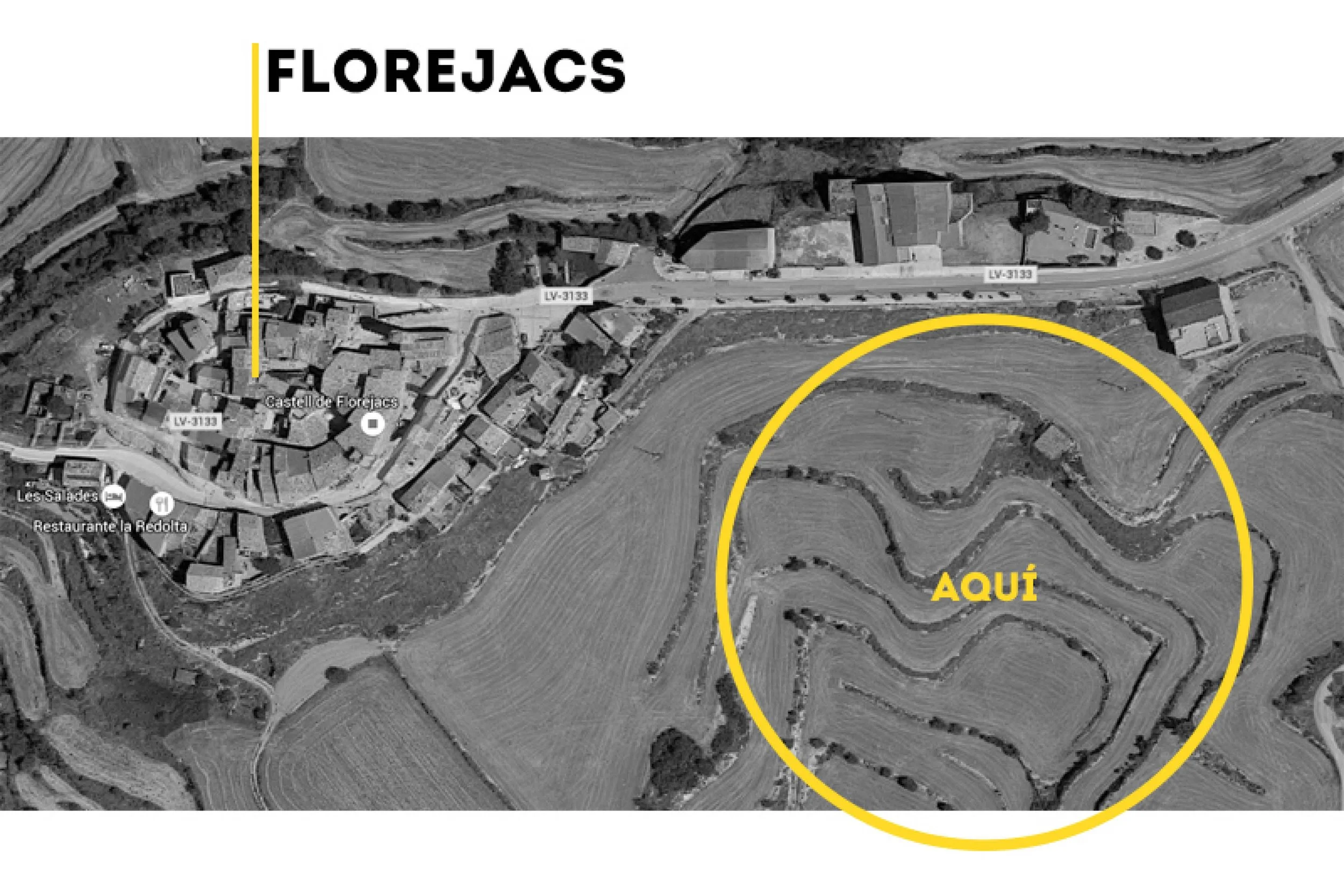 LABERINT DE LLUM14.jpg