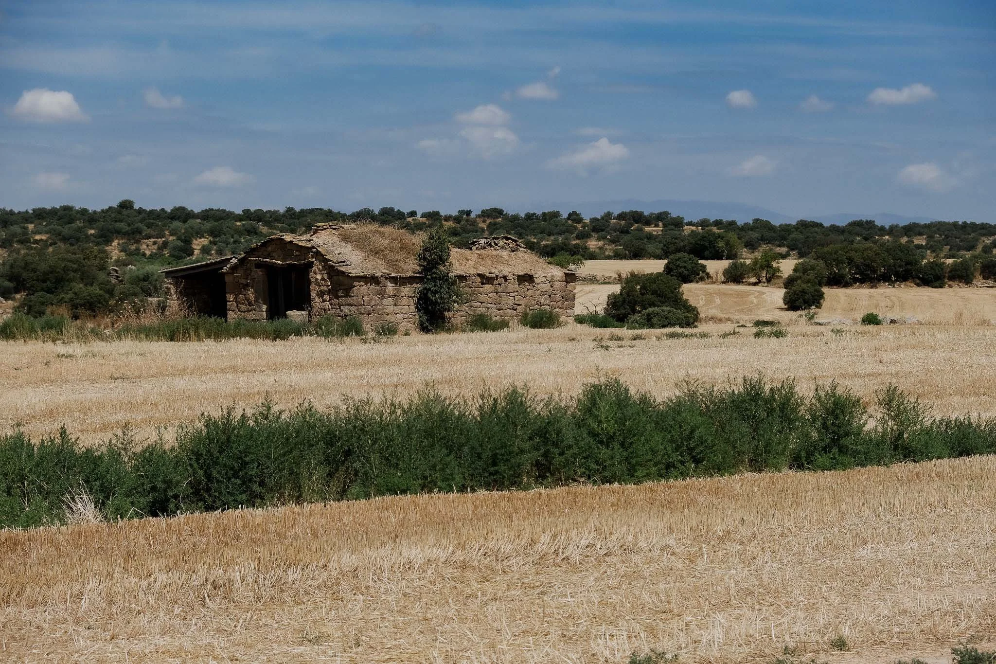 DSCF4480.jpg