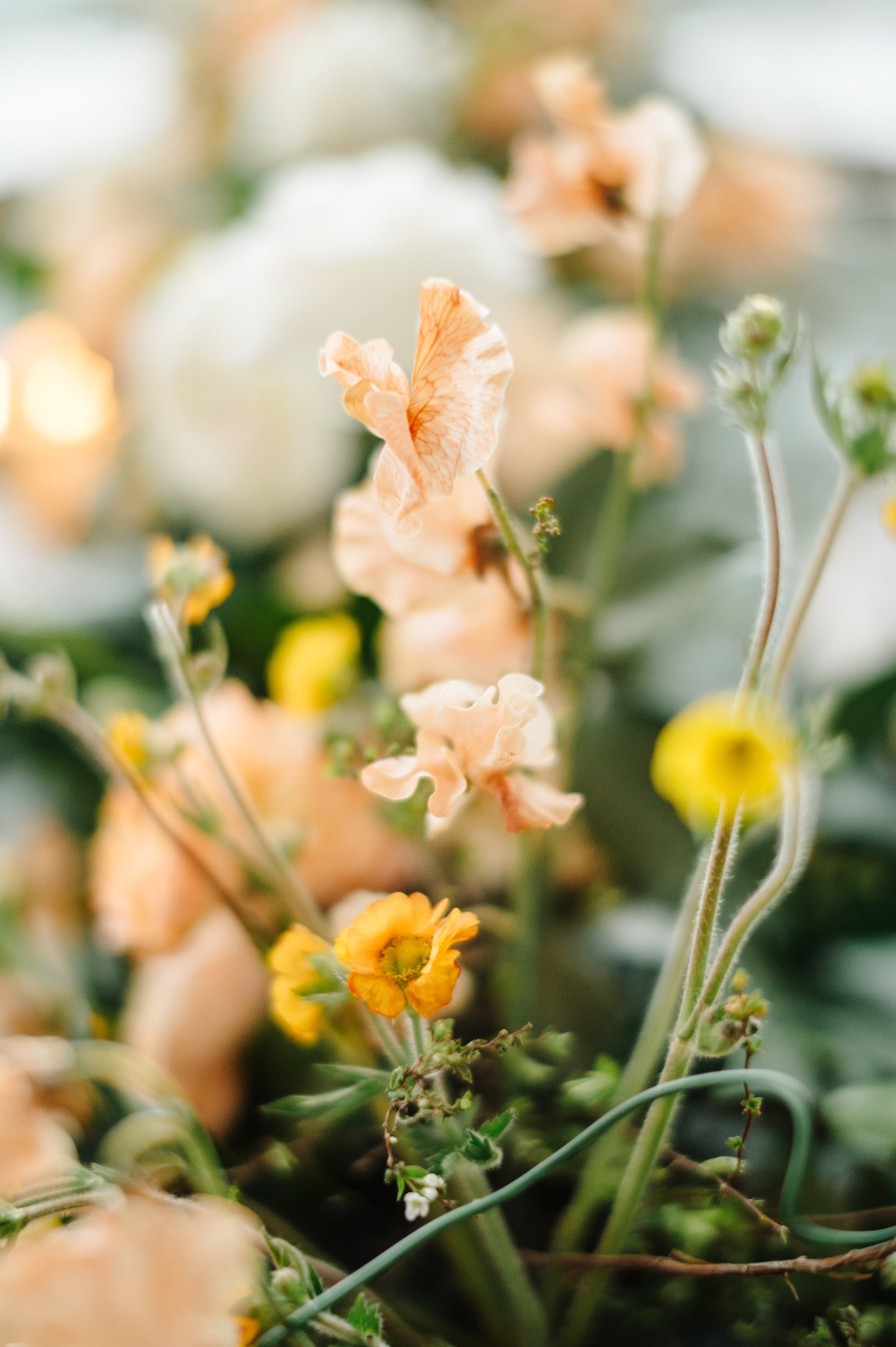 Couples therapy intensives in Detroit - flowers