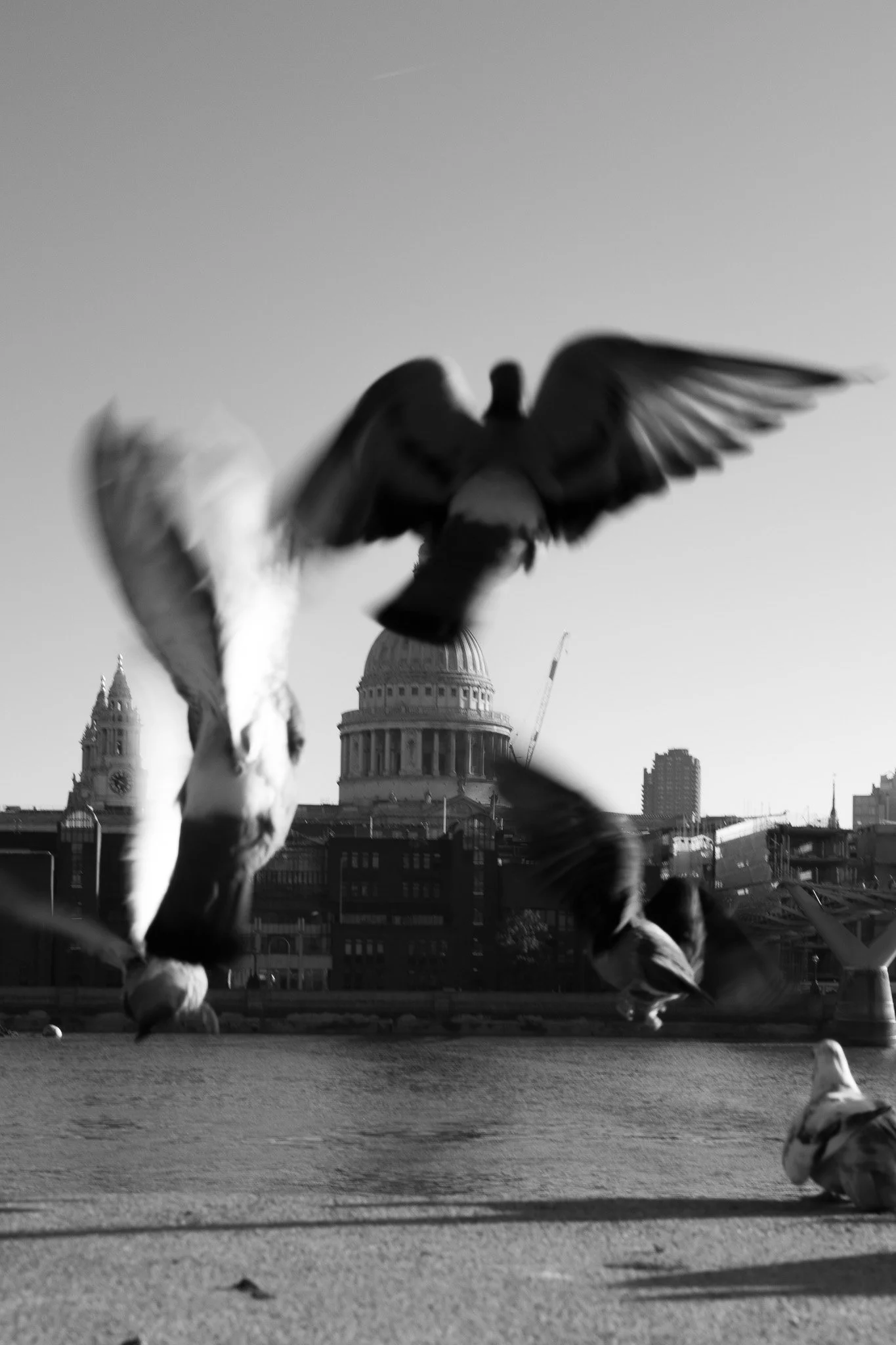 L1000967.jpg