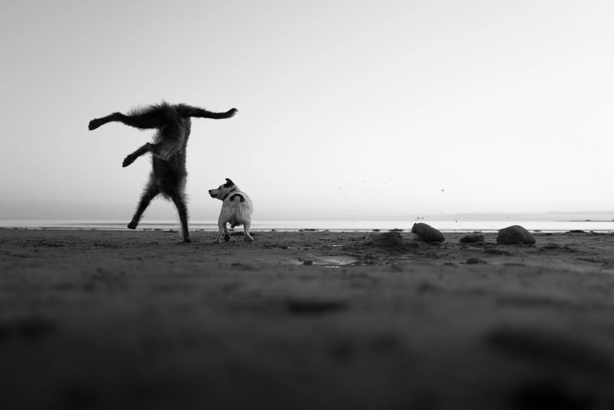 L1000831.jpg