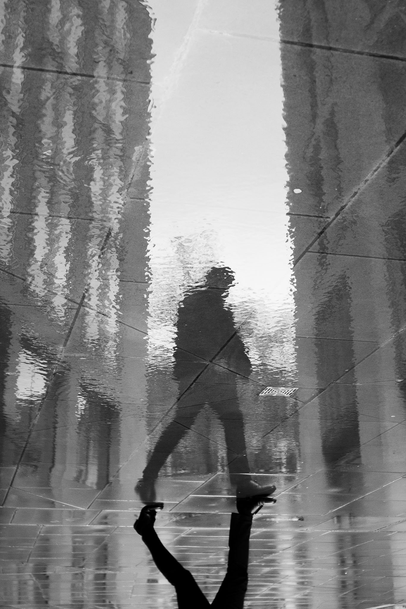 DSCF9530.jpg