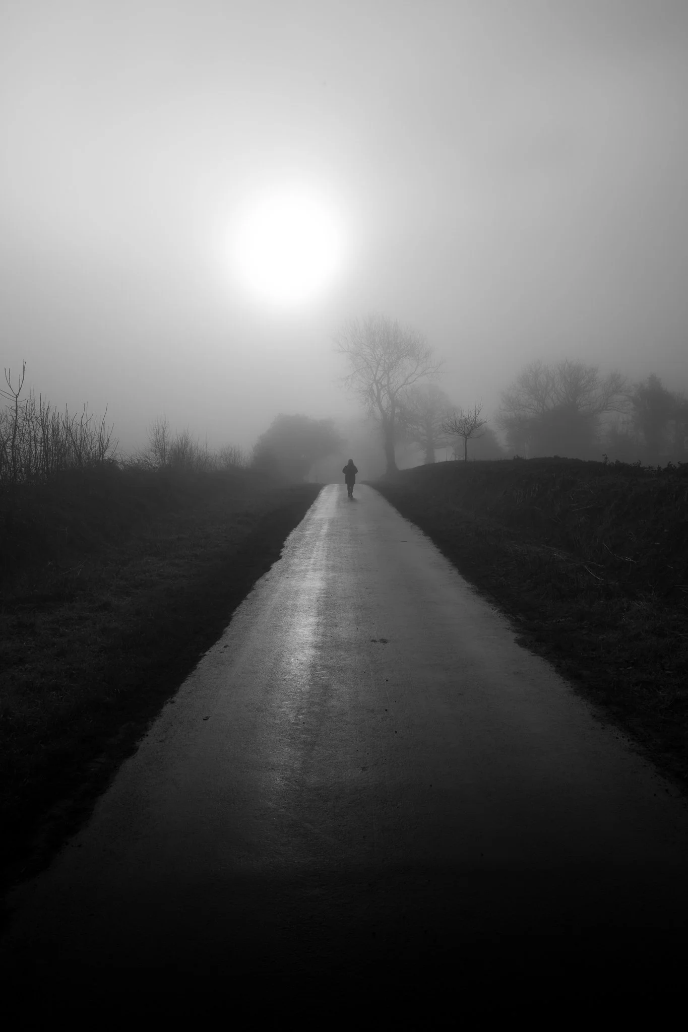 L1000239.jpg