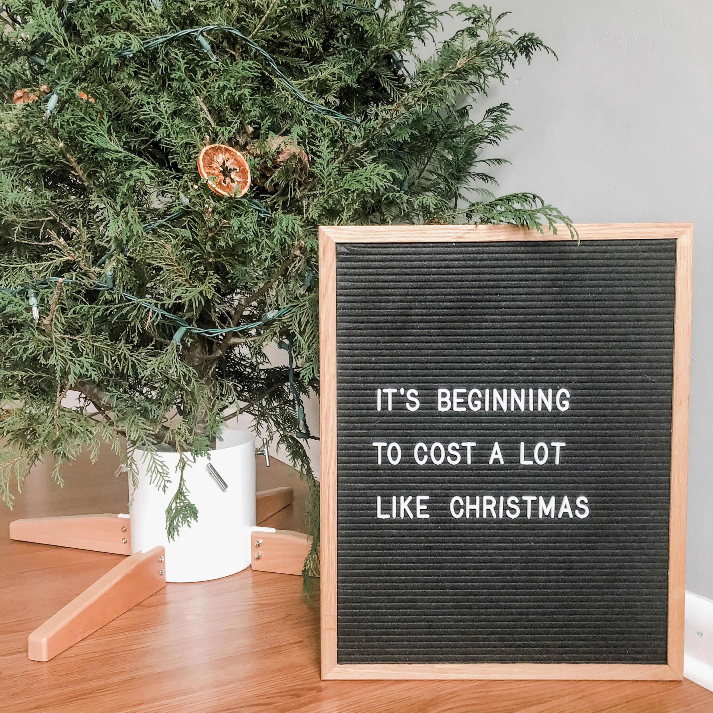 Week 2: Budgeting for Holiday Expenses