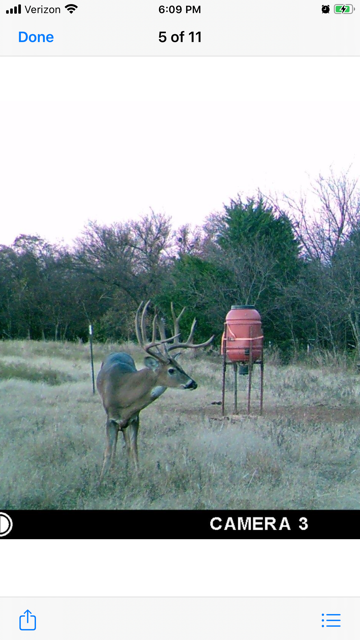 Michael Baird - IMG_6236.PNG