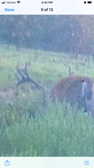 Michael Baird - IMG_6587.PNG