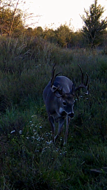 Michael Baird - IMG_6735.PNG