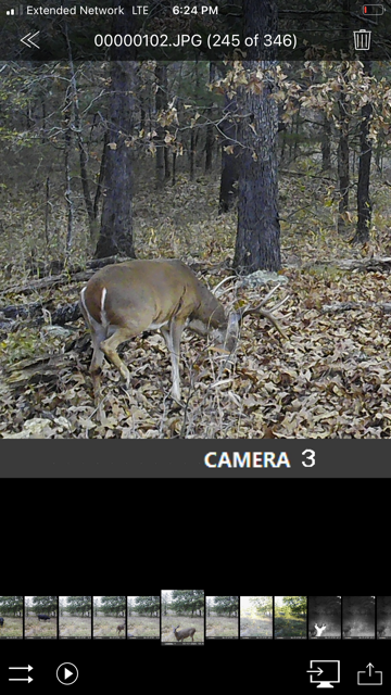 Michael Baird - IMG_7050.PNG