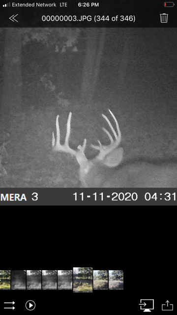 Michael Baird - IMG_7051.PNG